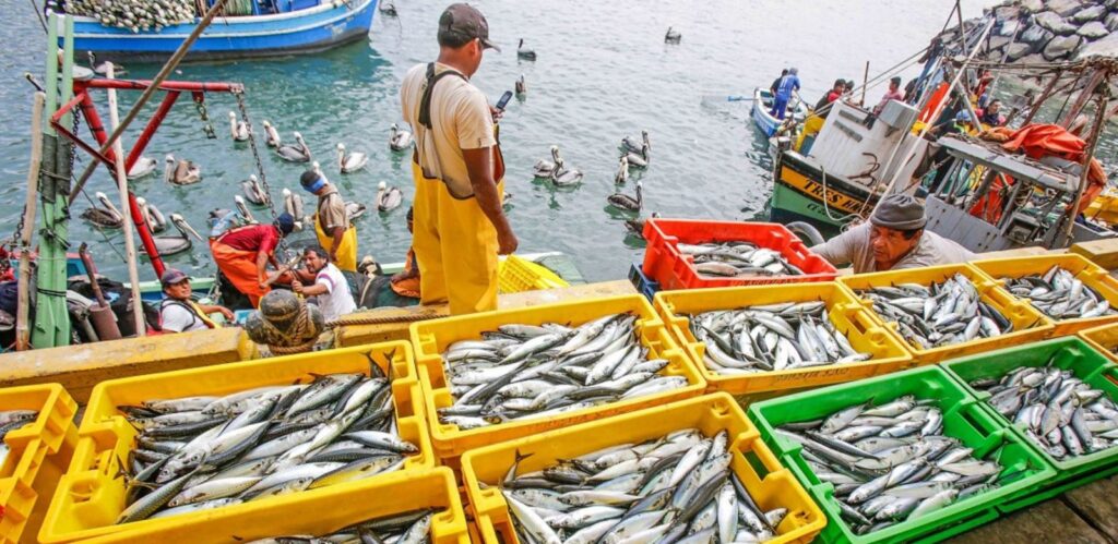 Con un campo fértil y un mar productivo, Piura convierte su riqueza natural en desarrollo económico