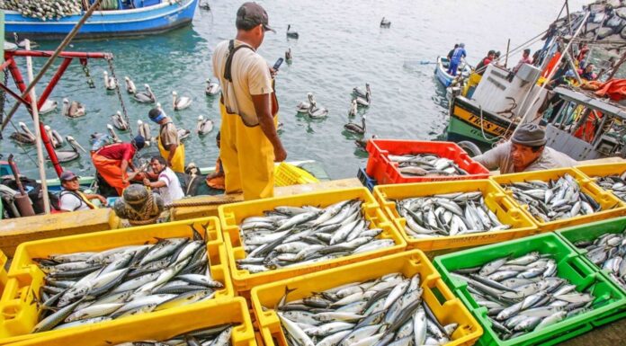 Con un campo fértil y un mar productivo, Piura convierte su riqueza natural en desarrollo económico