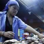 Mipymes recibirán capacitación virtual en economía circular y gestión empresarial Mipymes recibirán capacitación virtual en economía circular y gestión empresarial