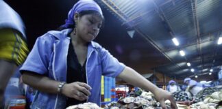 Mipymes recibirán capacitación virtual en economía circular y gestión empresarial
