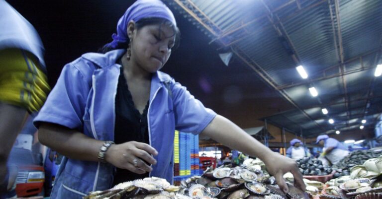 Mipymes recibirán capacitación virtual en economía circular y gestión empresarial