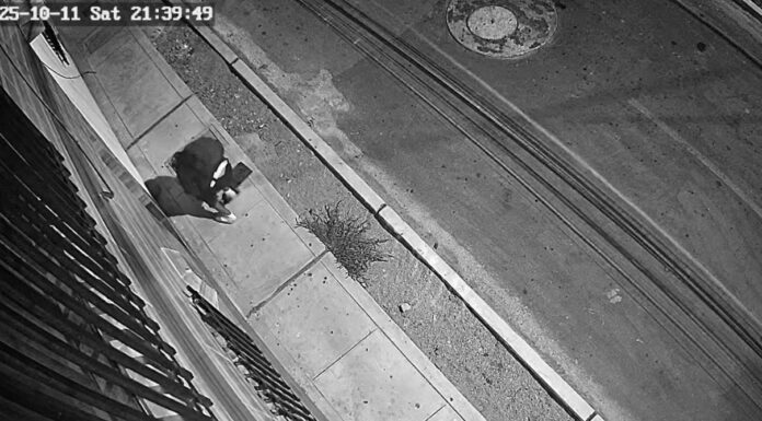 Roban más de 45 medidores de agua en Talara