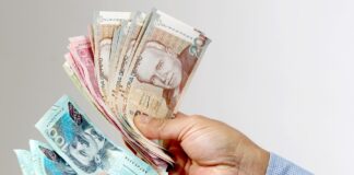 CTS noviembre 2025: esta es la fecha límite que tienen las empresas para realizar el deposito