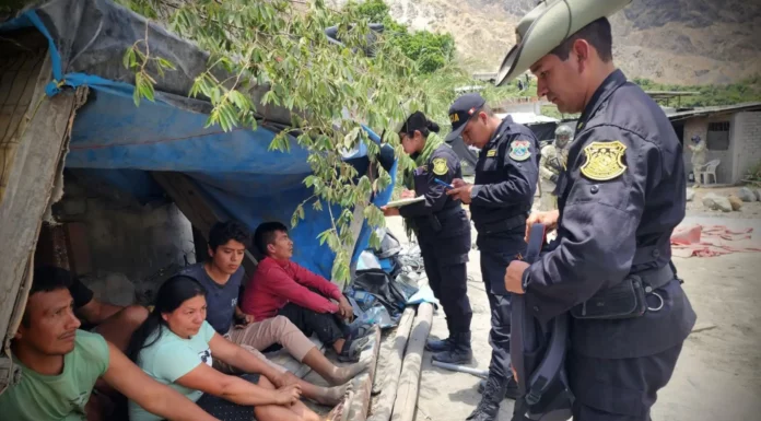 Asociación PYME Perú advierte que extender el Reinfo incrementará la violencia en el país