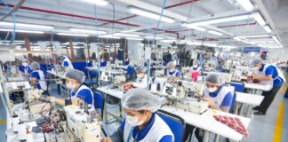 INEI reporta crecimiento del empleo en Perú y alcanza 17,6 millones de personas ocupadas INEI reporta crecimiento del empleo en Perú y alcanza 17,6 millones de personas ocupadas