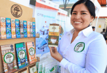 Crecen 1.6%: Mipyme peruanas superan los 2.3 millones y mantienen su peso en la economía nacional