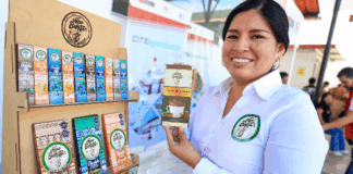 Crecen 1.6%: Mipyme peruanas superan los 2.3 millones y mantienen su peso en la economía nacional