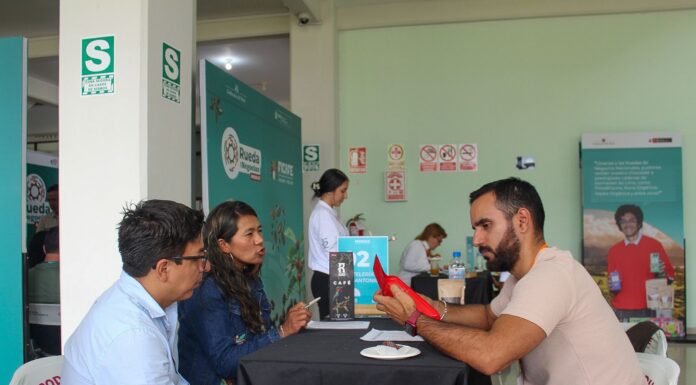 FICAFÉ 2025: MYPE cafetaleras generan más de S/ 50 millones en expectativas comerciales