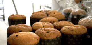 Pymes panificadoras proyectan 12 millones de panetones en Navidad