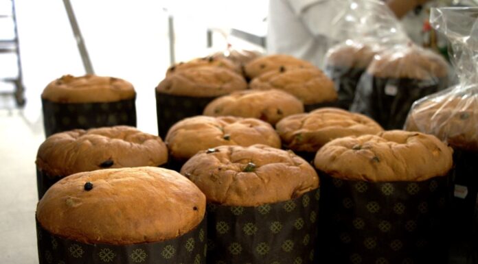 Pymes panificadoras proyectan 12 millones de panetones en Navidad