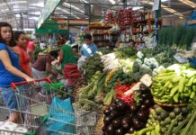 Precios al consumidor en Piura aumentan 0,03% en noviembre de 2025 Precios al consumidor en Piura aumentan 0,03% en noviembre de 2025