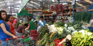 Precios al consumidor en Piura aumentan 0,03% en noviembre de 2025 Precios al consumidor en Piura aumentan 0,03% en noviembre de 2025