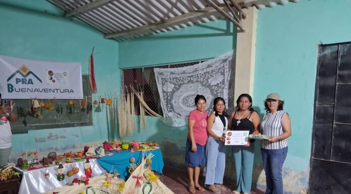 Artesanas piuranas llevan el tejido en paja toquilla a la feria nacional Ruraq Maki en Lima Artesanas piuranas llevan el tejido en paja toquilla a la feria nacional Ruraq Maki en Lima