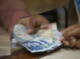 Pago de utilidades: qué empresas están obligadas y cómo se calculan