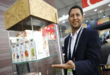 Mipymes exportadoras del Perú crecieron 3.2% entre enero y noviembre del 2025