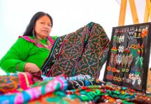 Más de 300 emprendimientos amazónicos recibirán bono por responsabilidad financiera Más de 300 emprendimientos amazónicos recibirán bono por responsabilidad financiera