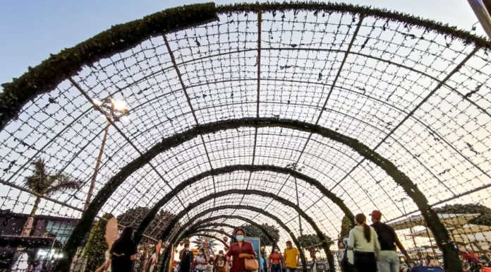 Economía peruana crecería 3.5% en 2026 y demanda interna superaría el 4%, según BCP