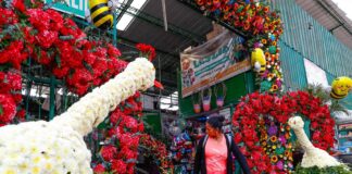 San Valentín 2026: esto gastan los peruanos en rosas y arreglos florales