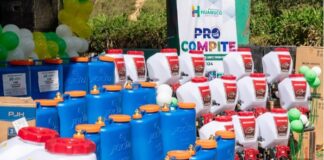 PROCOMPITE impulsó acceso a nuevos mercados para más del 40% de beneficiarios