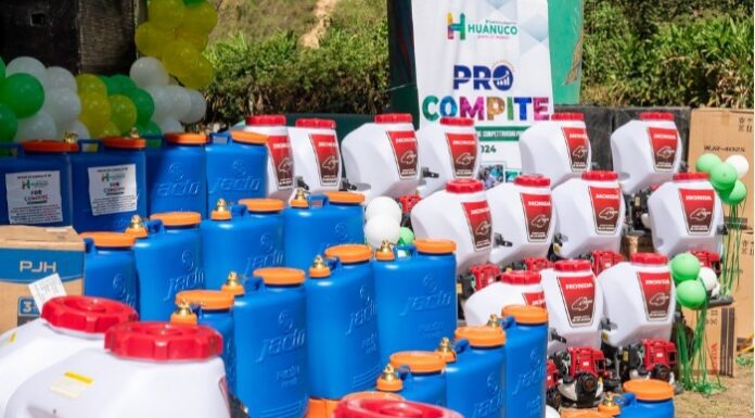 PROCOMPITE impulsó acceso a nuevos mercados para más del 40% de beneficiarios