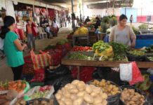 INEI: precios al consumidor en Piura subieron 0,11% en enero de 2026