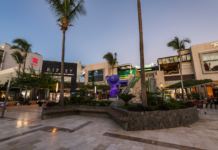 San Valentín 2026 moverá S/ 800 millones en centros comerciales San Valentín 2026 moverá S/ 800 millones en centros comerciales