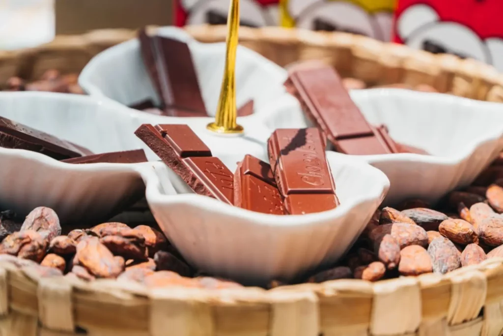 Bionegocios y econegocios crecen con iniciativas de alimentación y moda sostenible