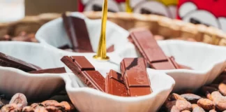 Bionegocios y econegocios crecen con iniciativas de alimentación y moda sostenible