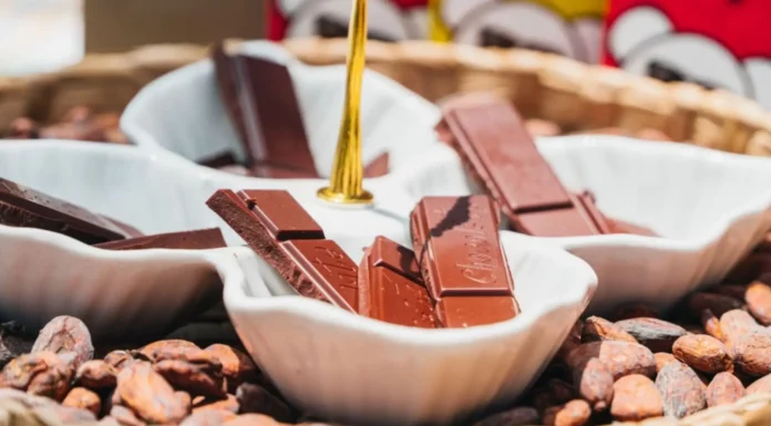 Bionegocios y econegocios crecen con iniciativas de alimentación y moda sostenible