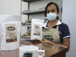 Exportaciones peruanas crecen: más de 3,700 empresas vendieron al exterior