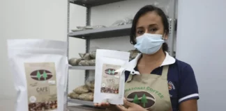 Exportaciones peruanas crecen: más de 3,700 empresas vendieron al exterior