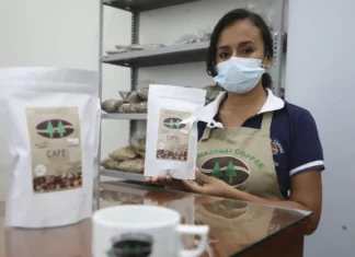 Exportaciones peruanas crecen: más de 3,700 empresas vendieron al exterior