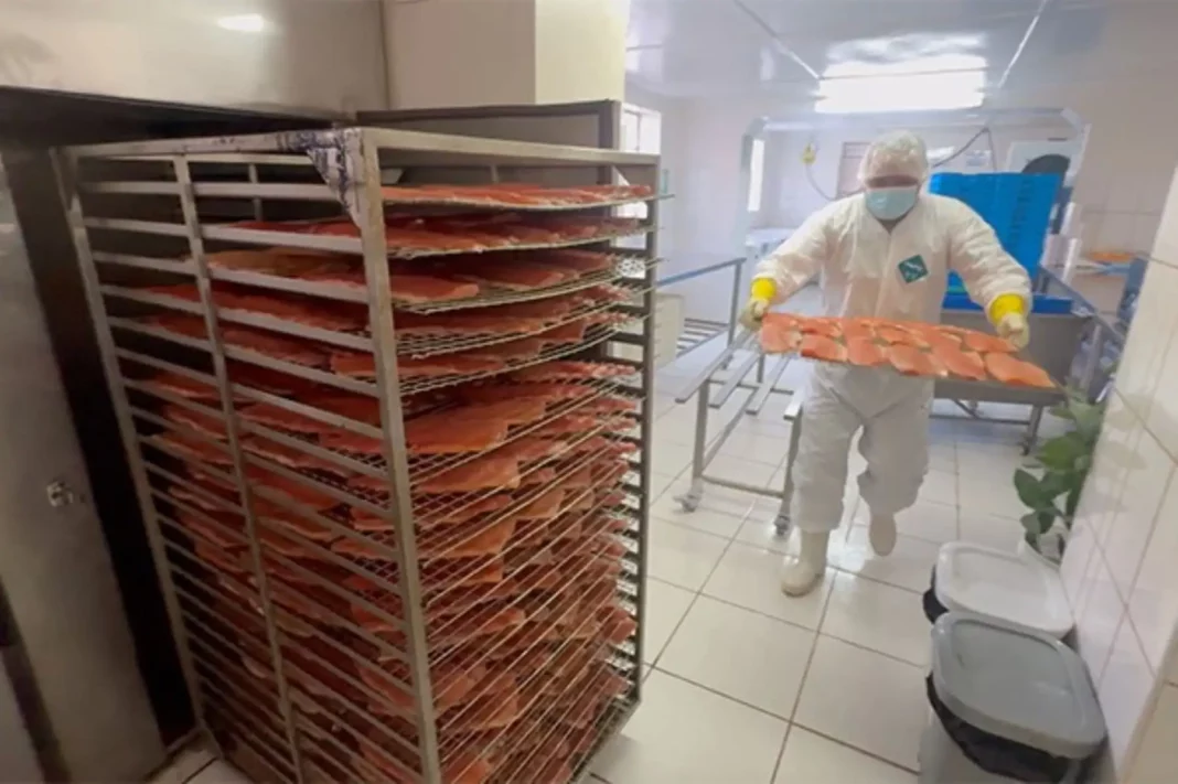 Salmín: de un pequeño horno en casa a un negocio que distribuye trucha ahumada en varias ciudades del Perú