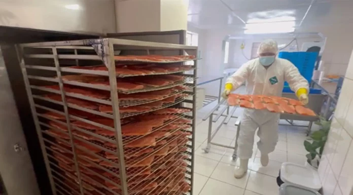 Salmín: de un pequeño horno en casa a un negocio que distribuye trucha ahumada en varias ciudades del Perú