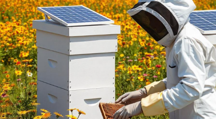 Emprendedoras peruanas presentarán proyectos innovadores en “Innova como ellas” Emprendedoras peruanas presentarán proyectos innovadores en “Innova como ellas”