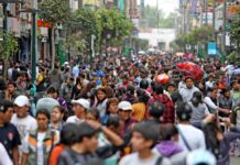 AFP logran alta rentabilidad en 2025-2026 y fortalecen ahorro previsional AFP logran alta rentabilidad en 2025-2026 y fortalecen ahorro previsional