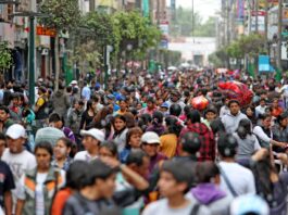 AFP logran alta rentabilidad en 2025-2026 y fortalecen ahorro previsional AFP logran alta rentabilidad en 2025-2026 y fortalecen ahorro previsional