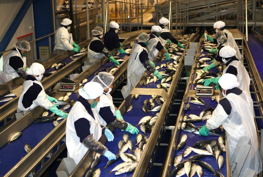 WhatsApp Image 2026-03-28 at 9.30.43 AM