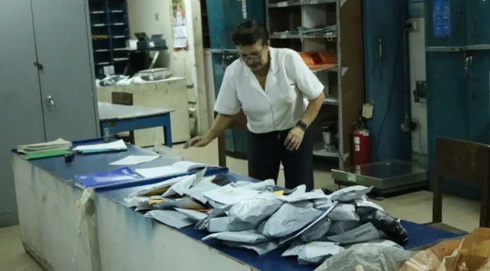 Exporta Fácil fortalece exportaciones de mypes peruanas con más de 118 mil envíos