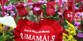 Día de la Madre impulsaría ventas de pymes entre 6% y 9% pese a coyuntura económica