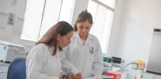 Inventoras peruanas pueden postular para representar al país en feria tecnológica KIWIE 2026 en Corea del Sur