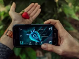 Innovación Empresarial 2026 abre postulaciones para startups en Piura