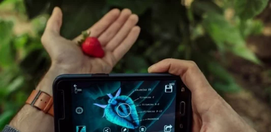 Innovación Empresarial 2026 abre postulaciones para startups en Piura