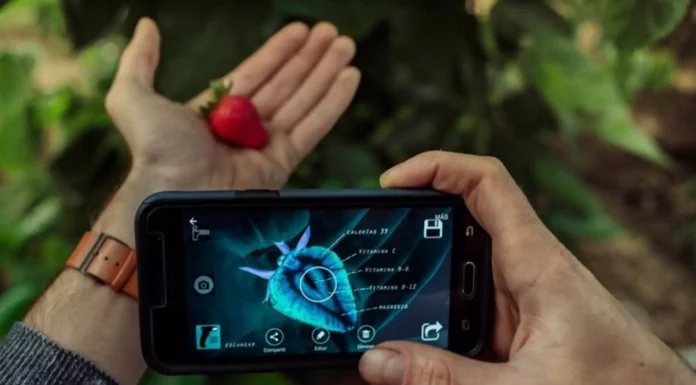 Innovación Empresarial 2026 abre postulaciones para startups en Piura