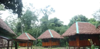 Lanzan concurso Turismo Emprende 2026 con subvenciones de hasta 120 mil soles: cómo postular