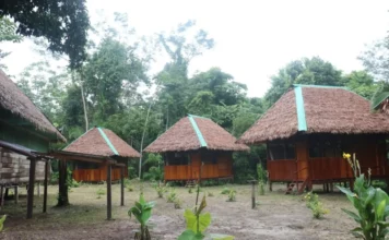 Lanzan concurso Turismo Emprende 2026 con subvenciones de hasta 120 mil soles Lanzan concurso Turismo Emprende 2026 con subvenciones de hasta 120 mil soles: cómo postular