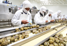 Más de S/14 millones serán destinados a innovación regional en siete departamentos: estas son las convocatorias