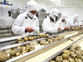 Más de S/14 millones serán destinados a innovación regional en siete departamentos: estas son las convocatorias Más de S/14 millones serán destinados a innovación regional en siete departamentos: estas son las convocatorias