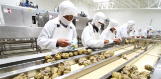 Más de S/14 millones serán destinados a innovación regional en siete departamentos: estas son las convocatorias