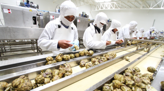 Más de S/14 millones serán destinados a innovación regional en siete departamentos: estas son las convocatorias